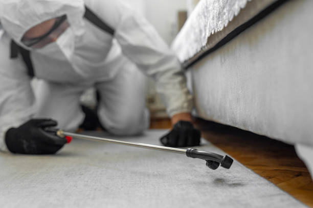 Professional Termite Control technician working in Hawarden, IA
